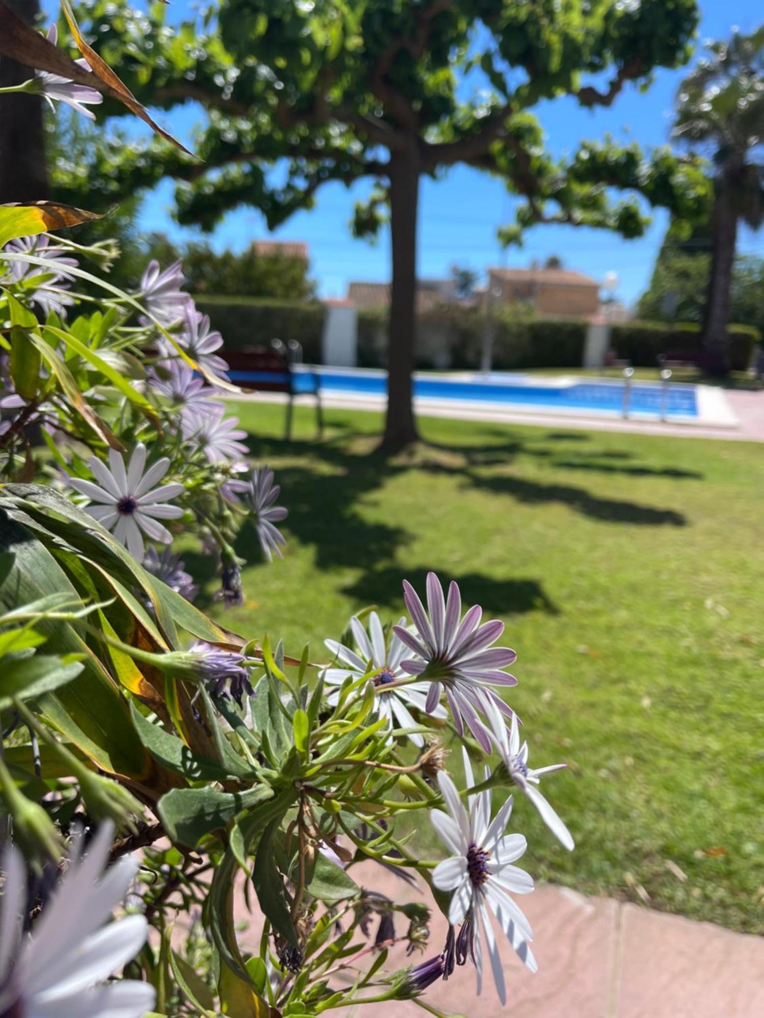 Cala Puntal Apartment Vinarós Exterior foto